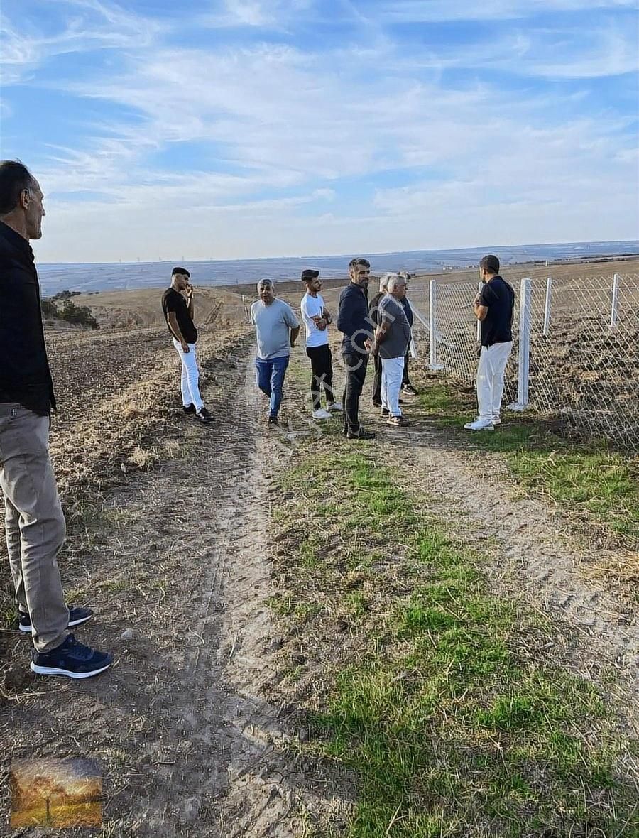 Son Parsel, İstanbul Silivri Değirmenköy 266m2 Satılık Arsa - Görsel 4
