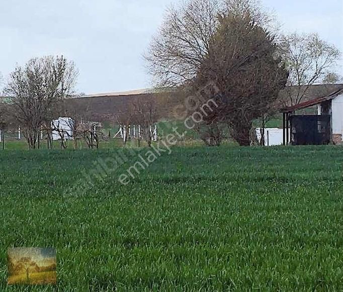 İstanbul Silivri Değırmenköy Sahibinden Satılık Arsa Çitli - Görsel 13