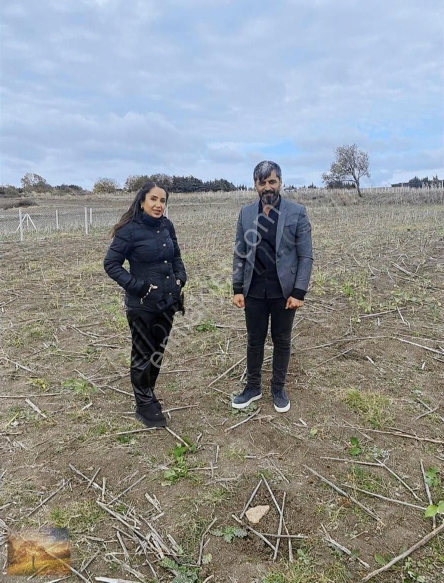 İstanbul Silivri Balaban Sahibinden Satılık 260m2 Arsa - Görsel 16