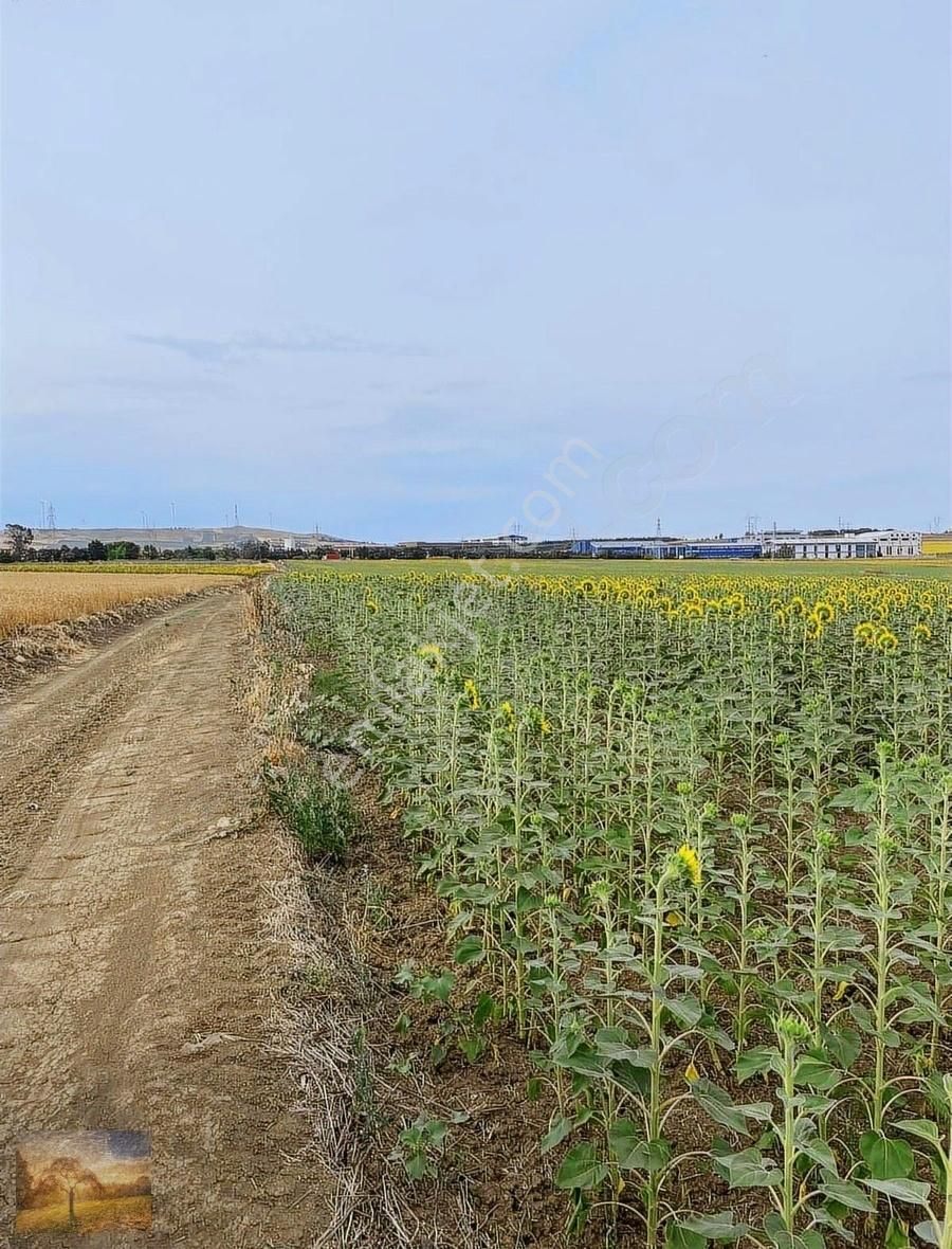 İstanbul Silivri Gümüşyaka Satılık 301m2 Arsa - Görsel 4
