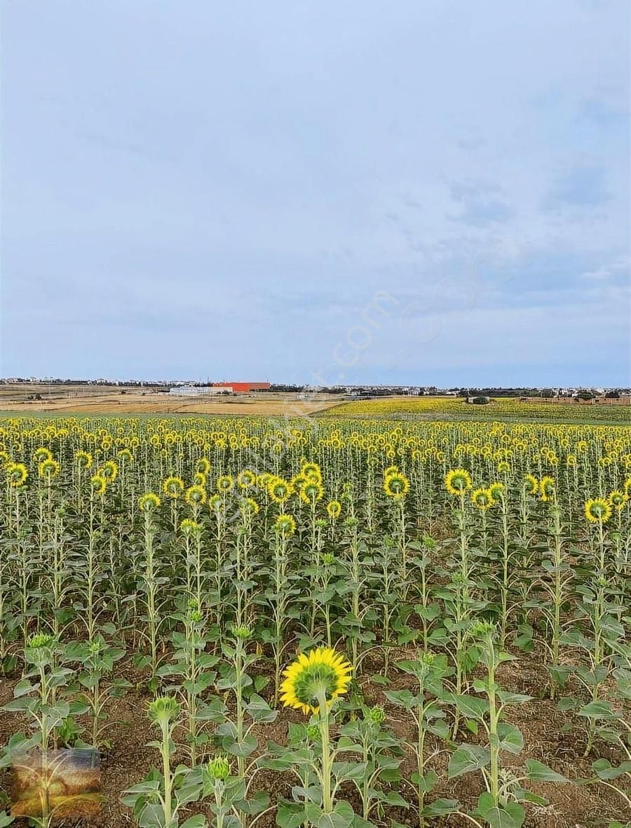 İstanbul Silivri Gümüşyaka Satılık 301m2 Arsa - Görsel 2