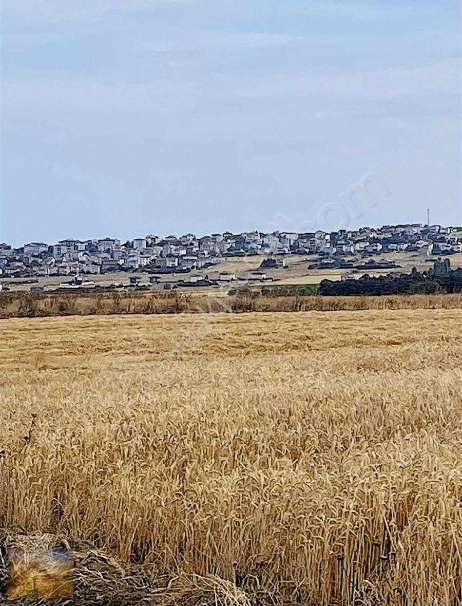 İstanbul Silivri Gümüşyaka Satılık 301m2 Arsa - Görsel 5