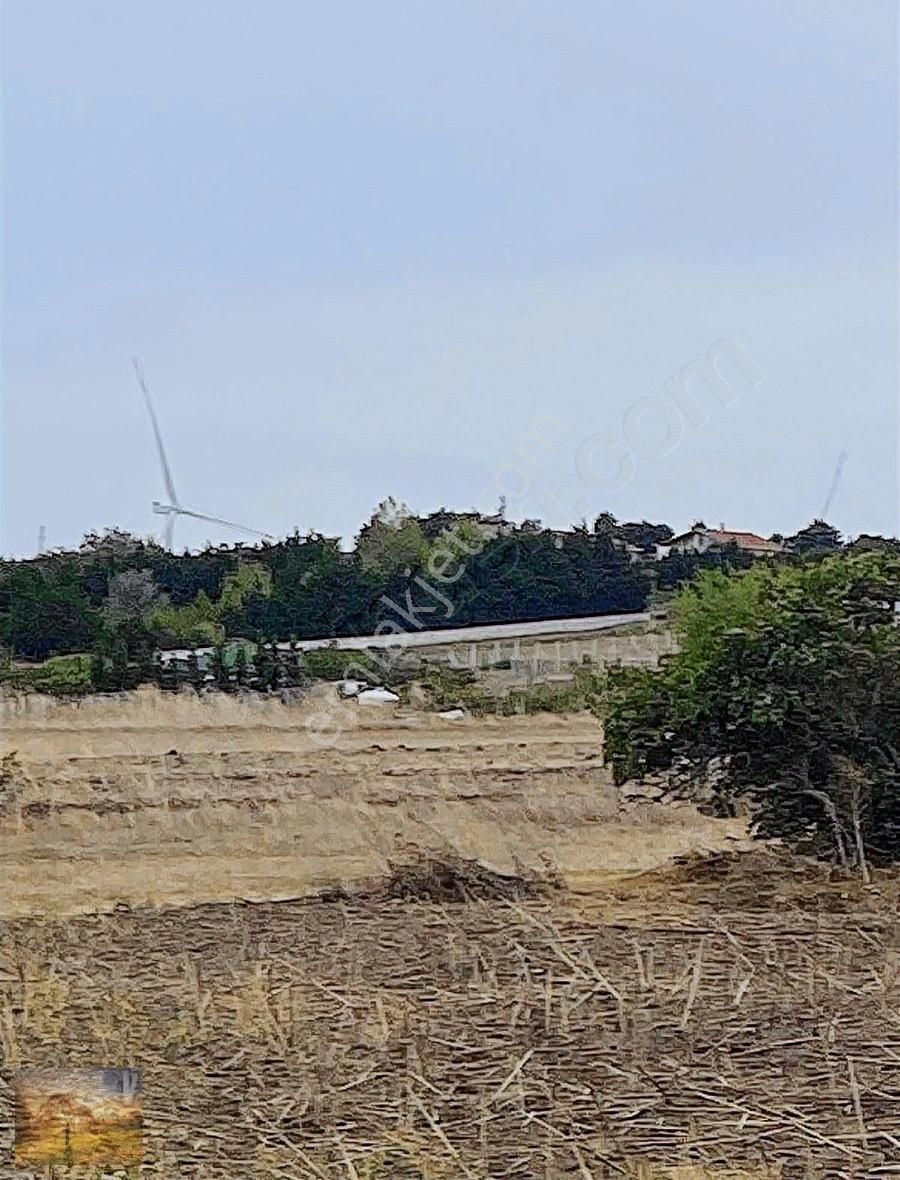 İstanbul Silivri Fenerköy Sahibinden Satılık 230m2 - Görsel 5