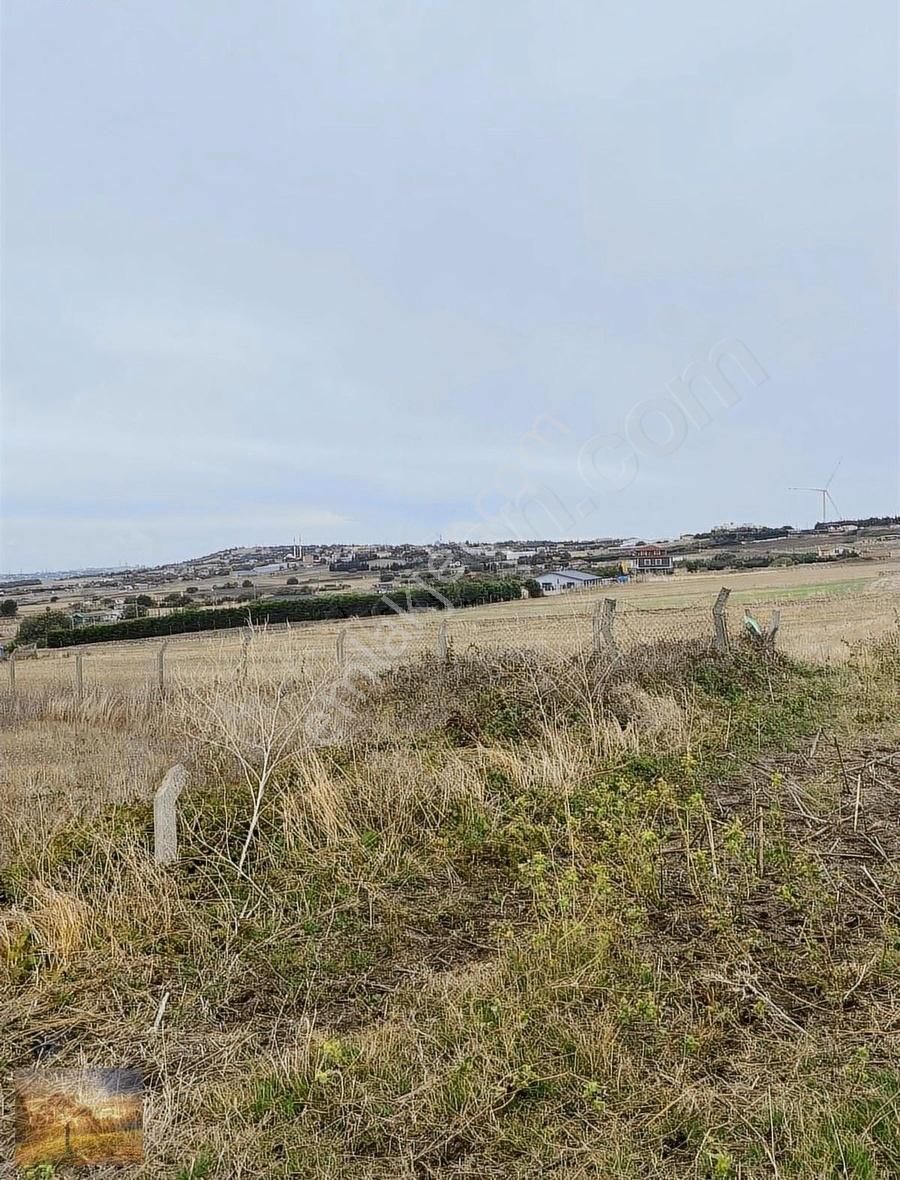 İstanbul Silivri Fenerköy Sahibinden Satılık 230m2 - Görsel 16