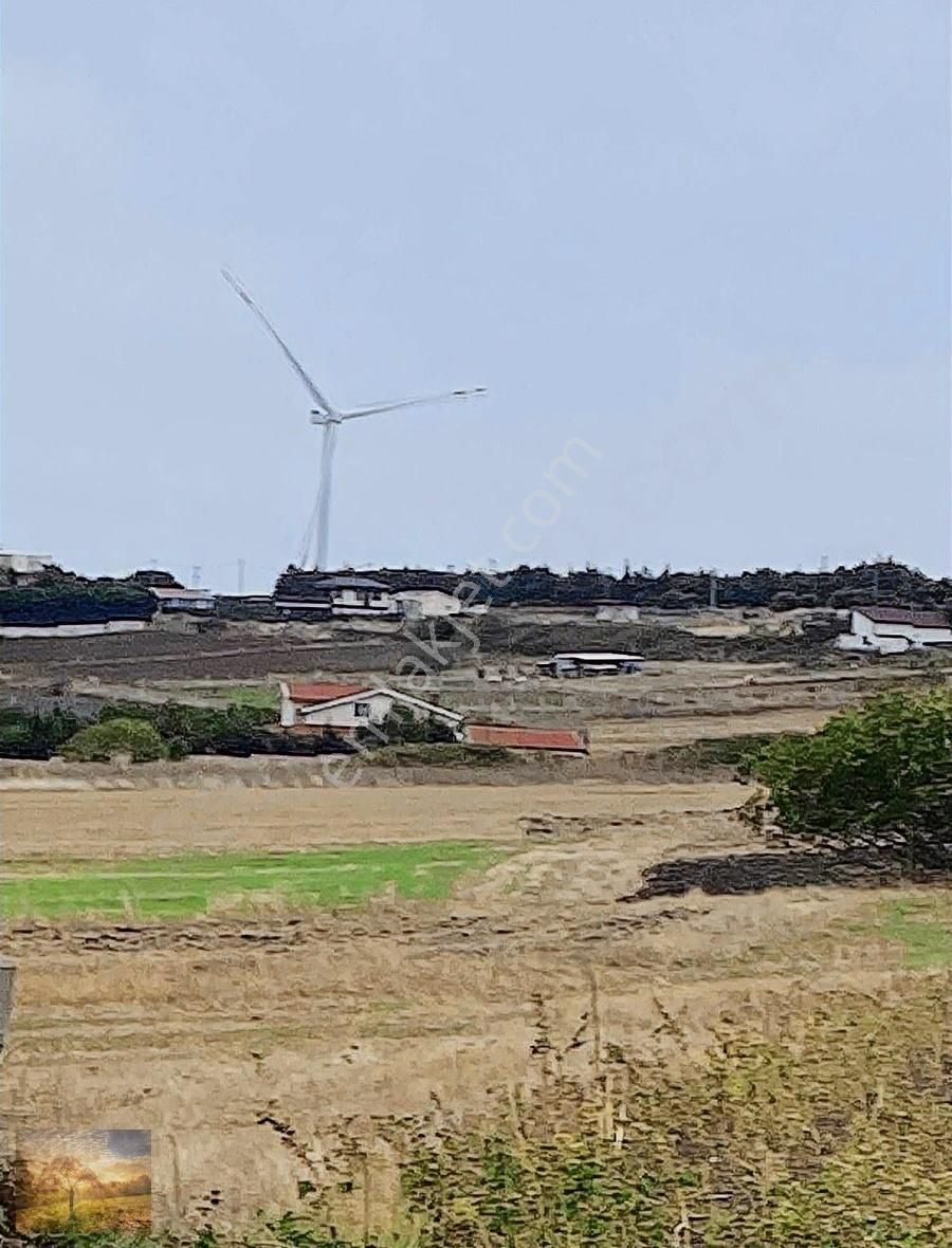 İstanbul Silivri Fenerköy Sahibinden Satılık 230m2 - Görsel 11