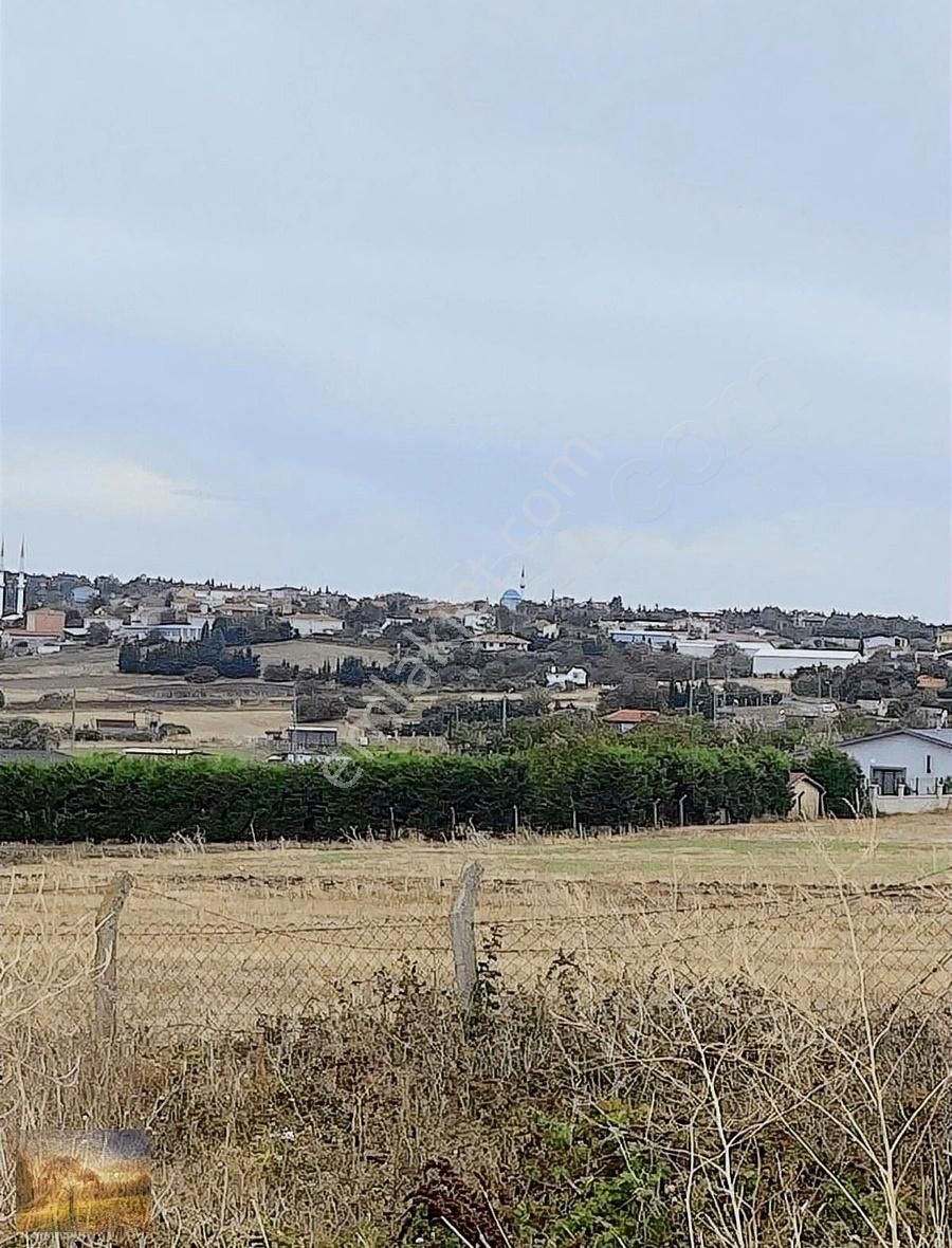 İstanbul Silivri Fenerköy Sahibinden Satılık 230m2 - Görsel 14