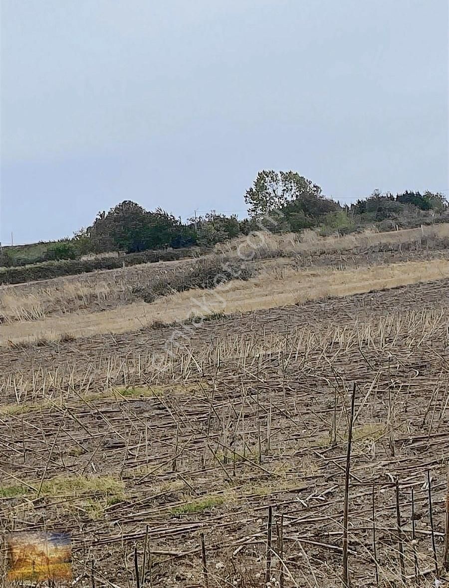 İstanbul Silivri Fenerköy Sahibinden Satılık 230m2 - Görsel 13