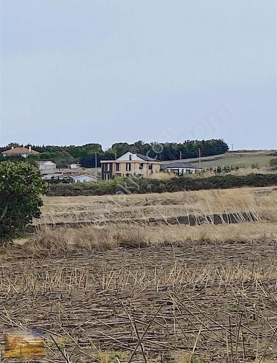 İstanbul Silivri Fenerköy Sahibinden Satılık 230m2 - Görsel 8