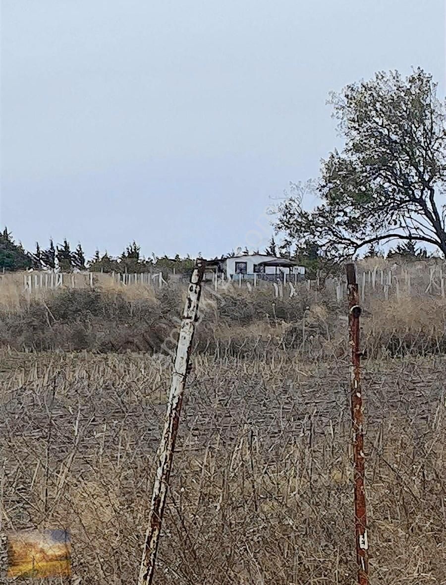 İstanbul Silivri Fenerköy Sahibinden Satılık 230m2 - Görsel 15