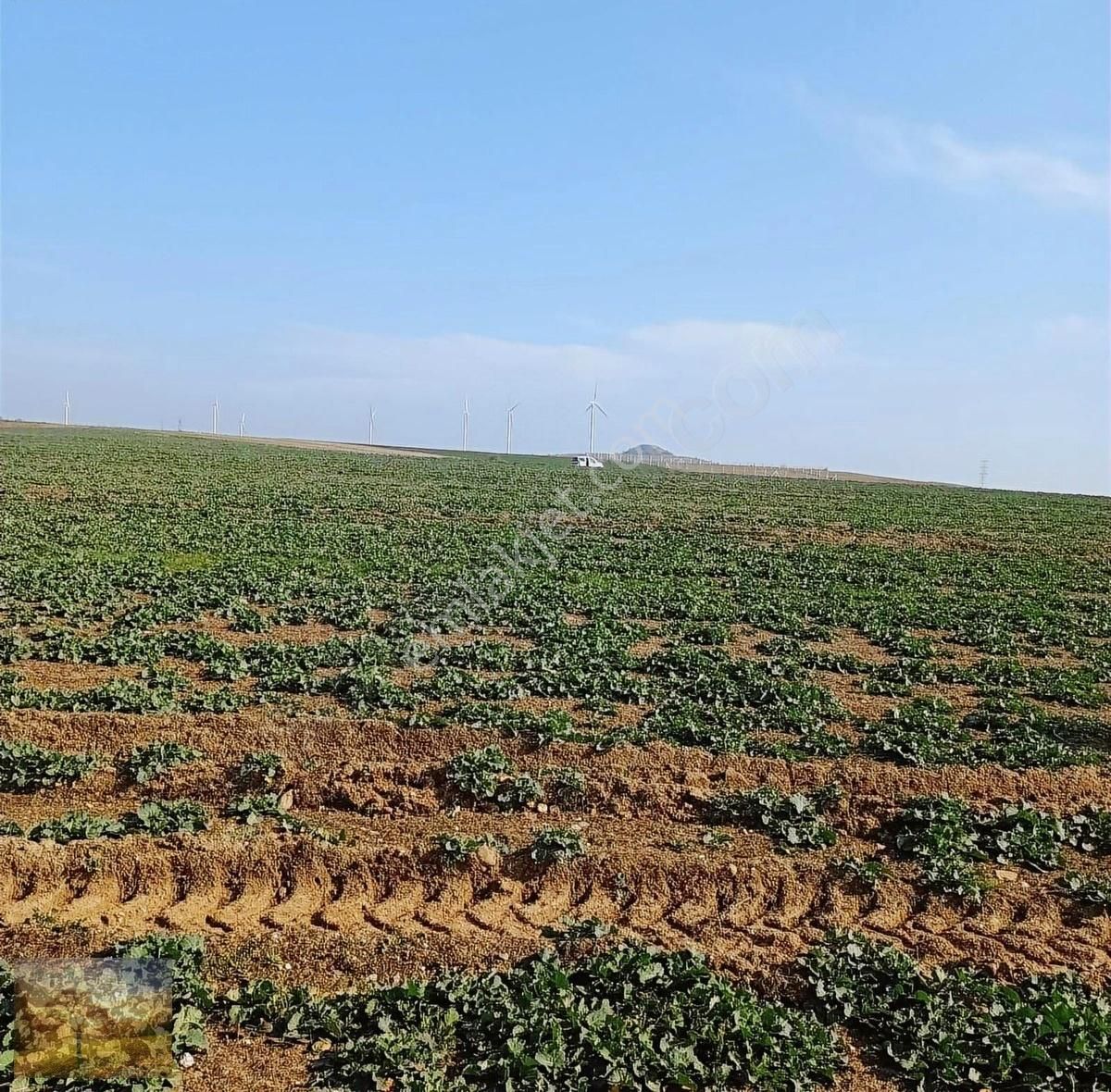 İstanbul Silivri Değirmenköy Sahibinden Satılık 310m2 Arsa - Görsel 16