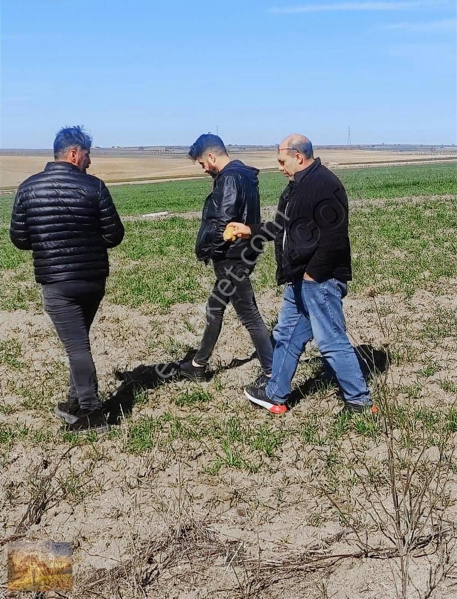 İstanbul Silivri Değirmenköy Sahibinden Satılık 310m2 Arsa - Görsel 33