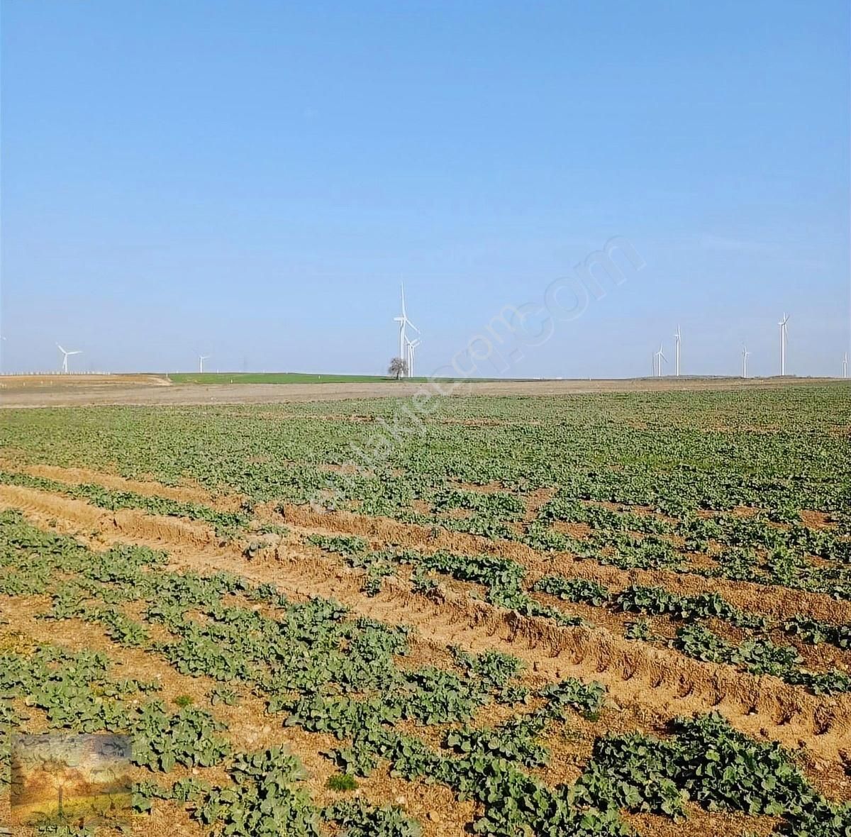 İstanbul Silivri Değirmenköy Sahibinden Satılık 310m2 Arsa - Görsel 18