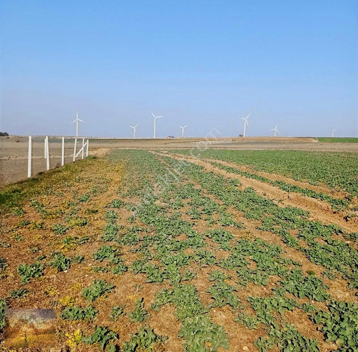 İstanbul Silivri Değirmenköy Sahibinden Satılık 310m2 Arsa - Görsel 7
