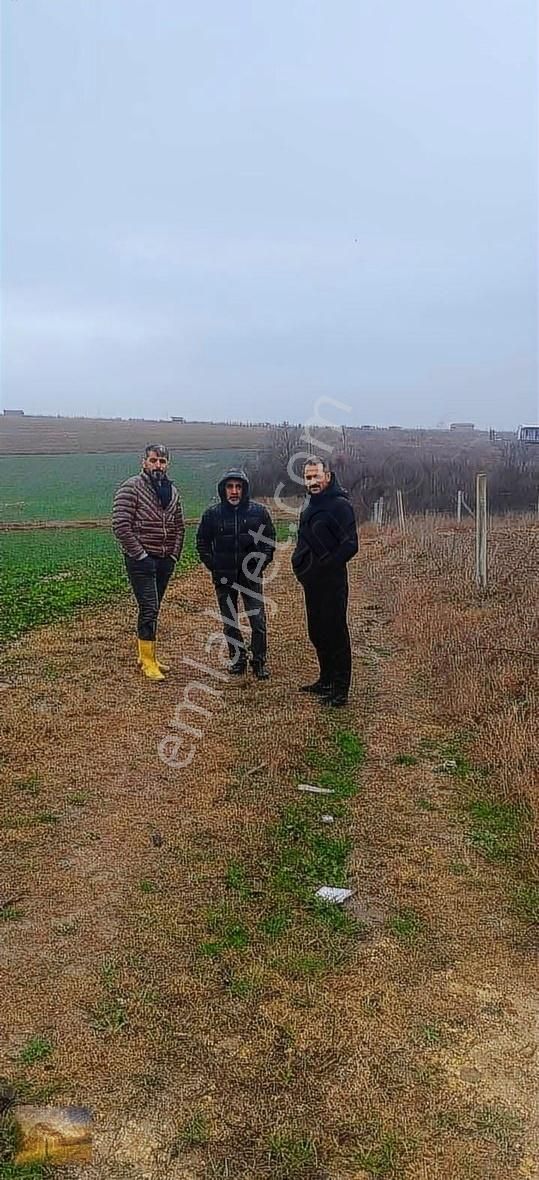 İstanbul Silivri Değirmenköy Sahibinden Satılık 310m2 Arsa - Görsel 31