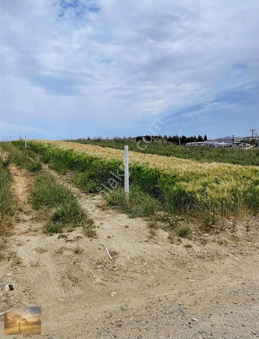 3 Gün İçin Kampanya İstanbul Silivri Değirmenköy Satılık Arsa - Görsel 8