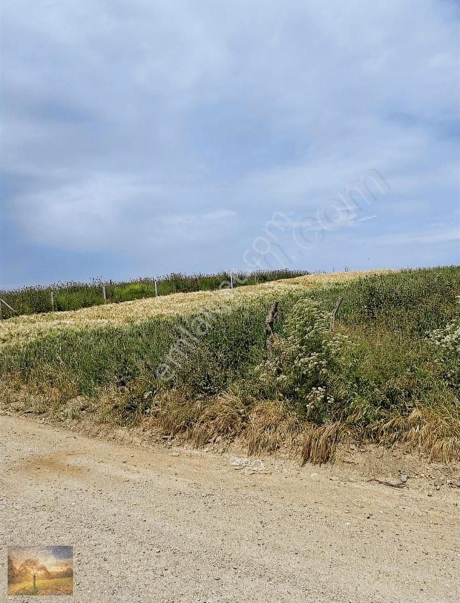 3 Gün İçin Kampanya İstanbul Silivri Değirmenköy Satılık Arsa - Görsel 13