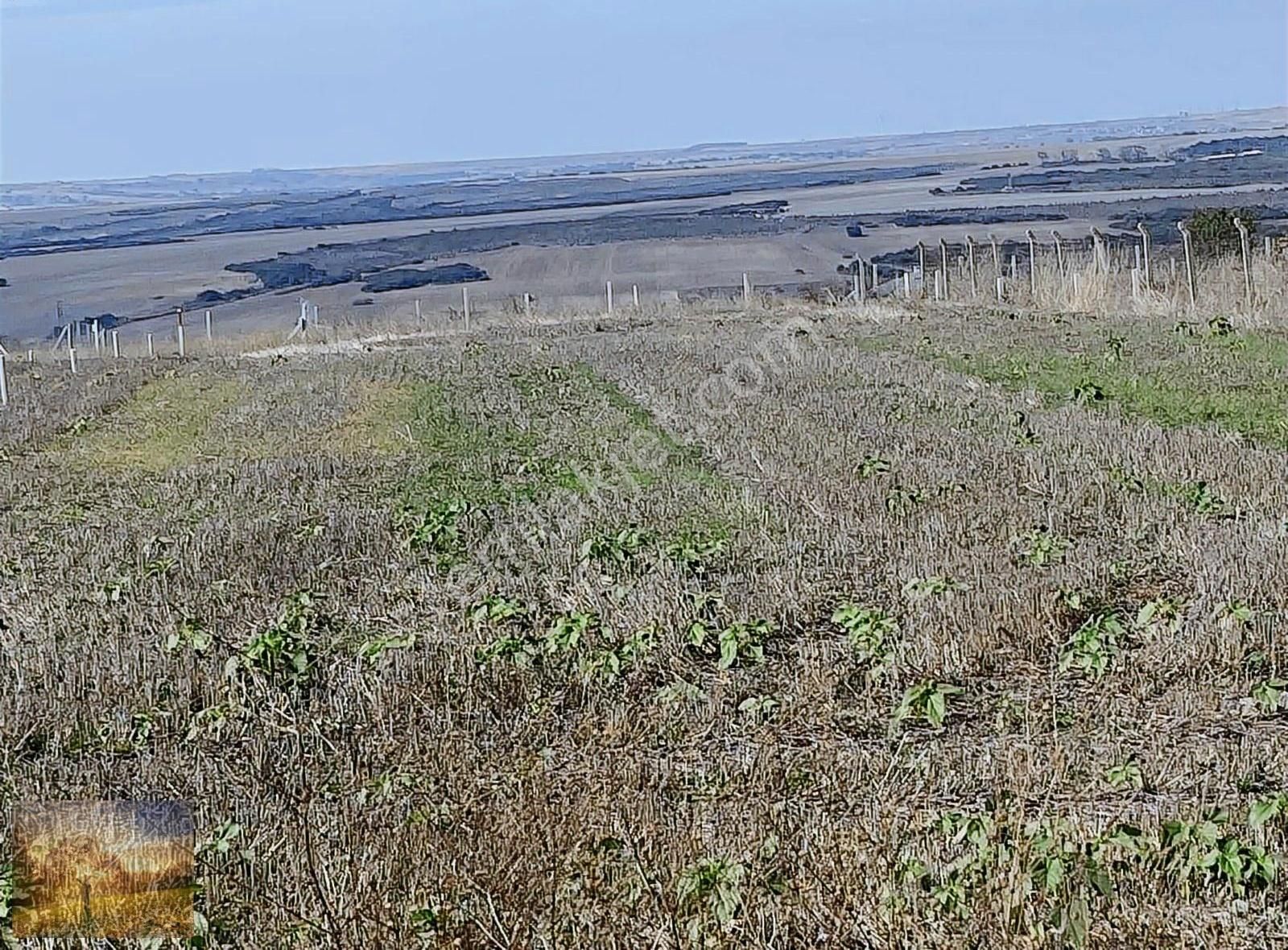 İstanbul Silivri Değirmenköy Sahibinden Satılık 127m2 Tarla - Görsel 6