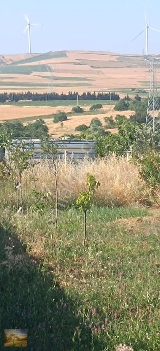 İstanbul Silivri Fener Köy Satılık Arsa 430m2 - Görsel 5