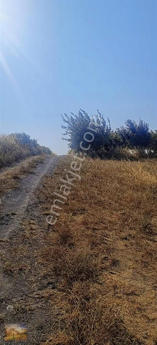 İstanbul Silivri Fener Köy Satılık Arsa 430m2 - Görsel 4