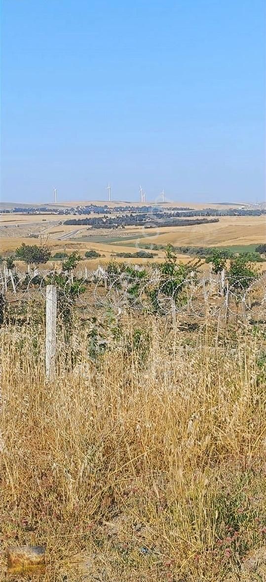 İstanbul Silivri Fener Köy Satılık Arsa 430m2 - Görsel 3