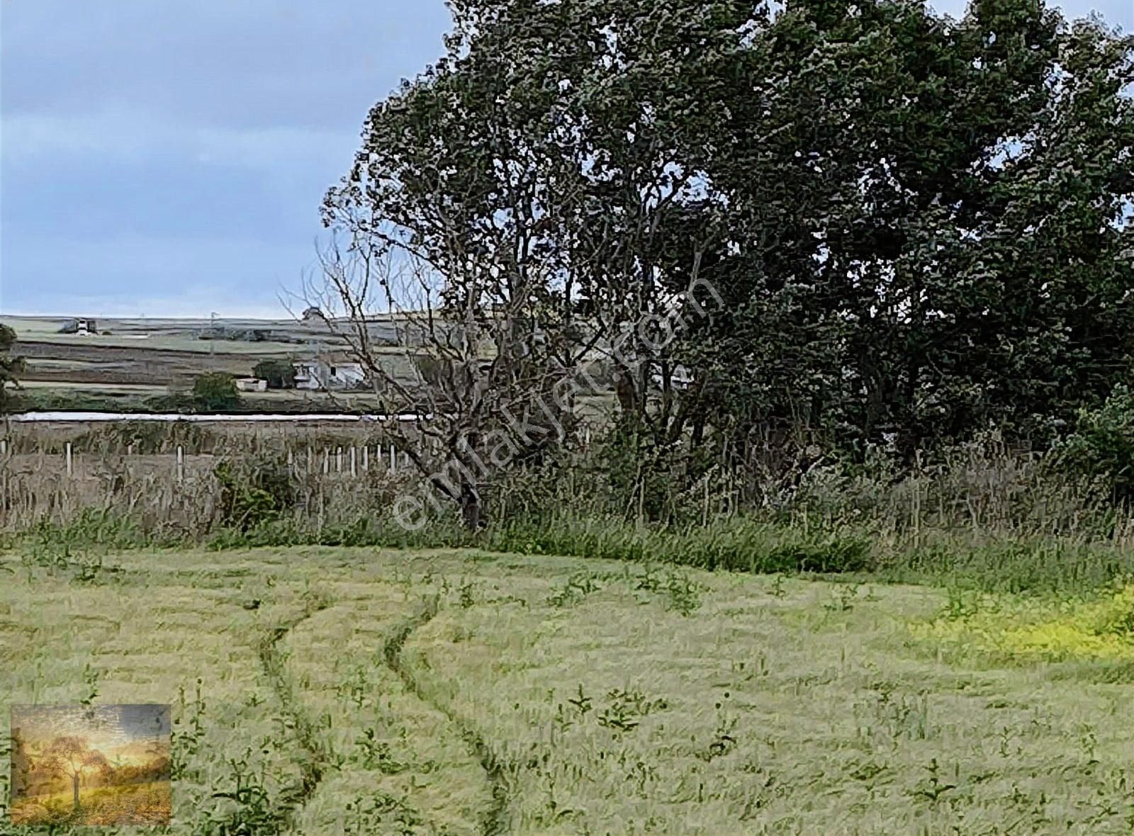 İstanbul Silivri Değirmenköy 230m2 Satılık Yerleşim Yerin İçinde - Görsel 9