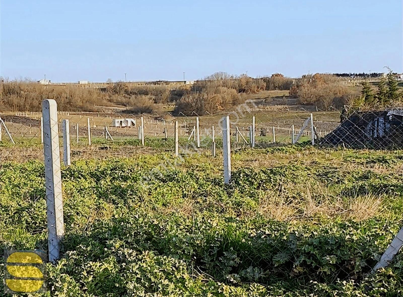 İstanbul Silivri Balaban Sahibimden Satılık 250m2 Arsa - Görsel 7