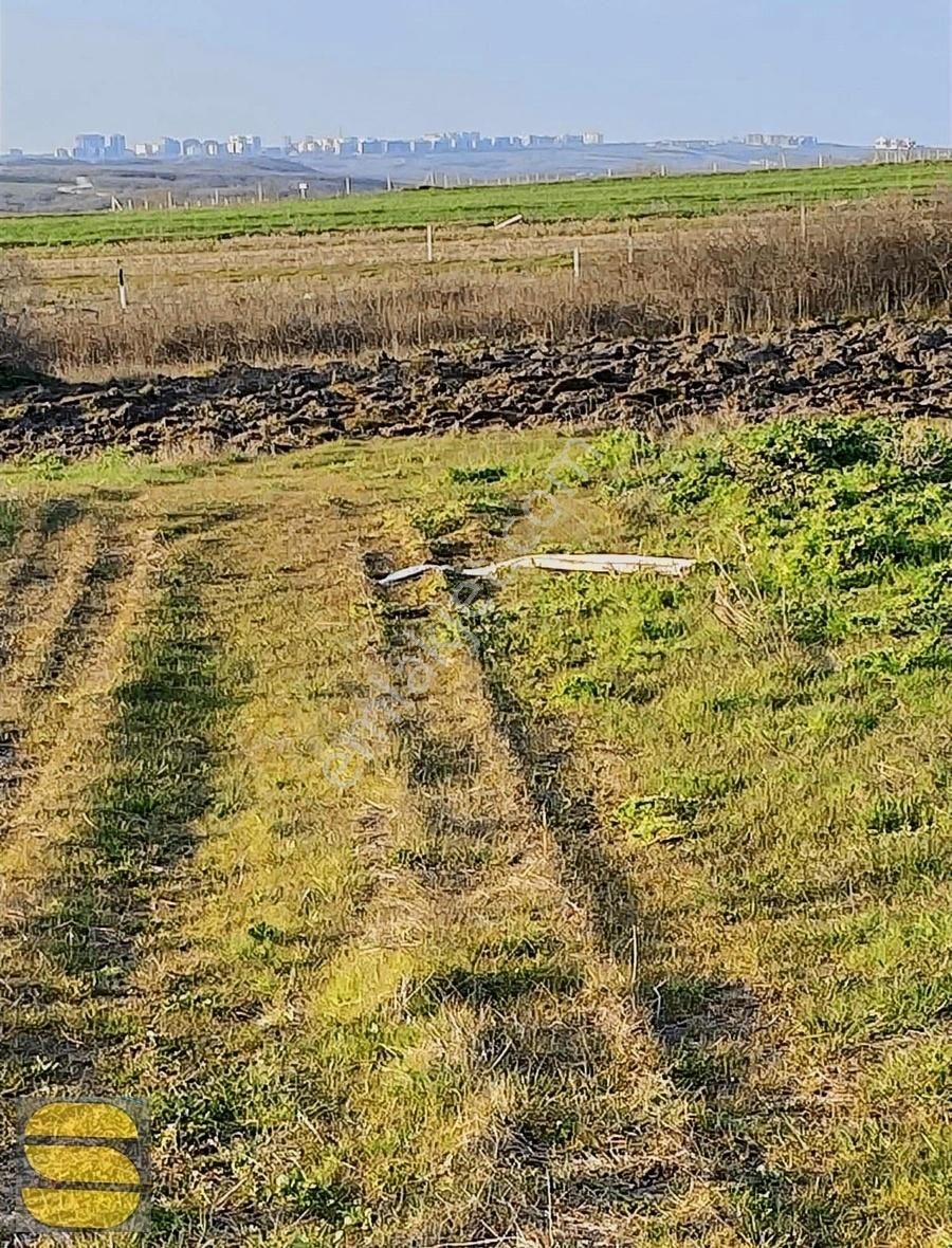 İstanbul Silivri Balaban Sahibimden Satılık 250m2 Arsa - Görsel 2