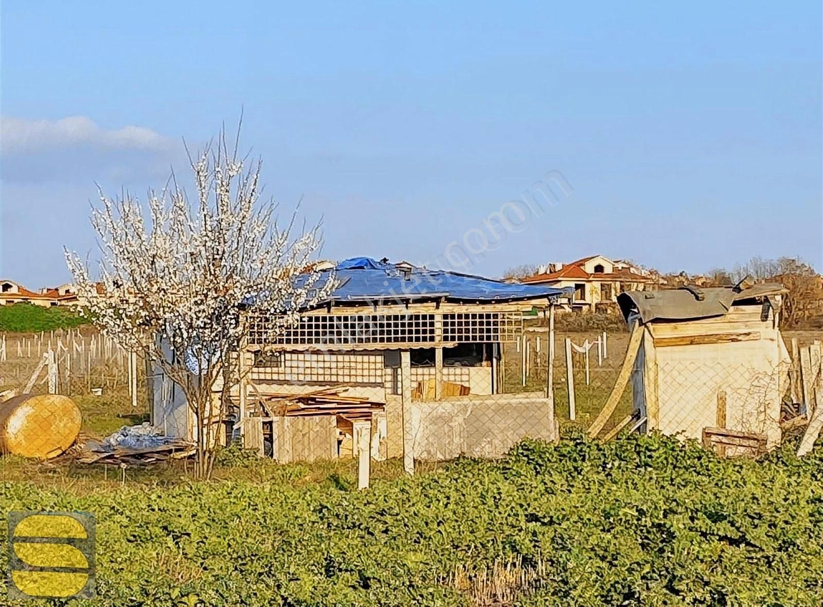 İstanbul Silivri Balaban Sahibimden Satılık 250m2 Arsa - Görsel 5