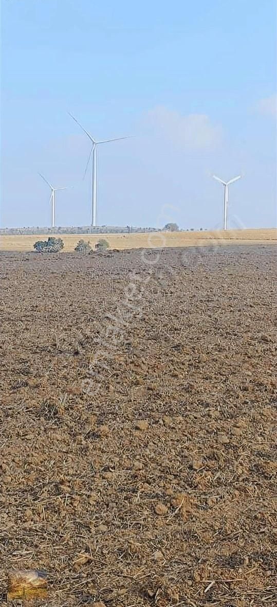 İstanbul Silivri Değirmenköy Sahibinden Satılık 300m2 Arsa - Görsel 7