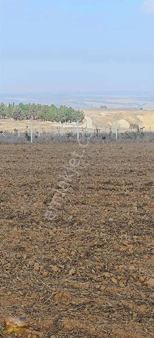 İstanbul Silivri Değirmenköy Sahibinden Satılık 300m2 Arsa - Görsel 12
