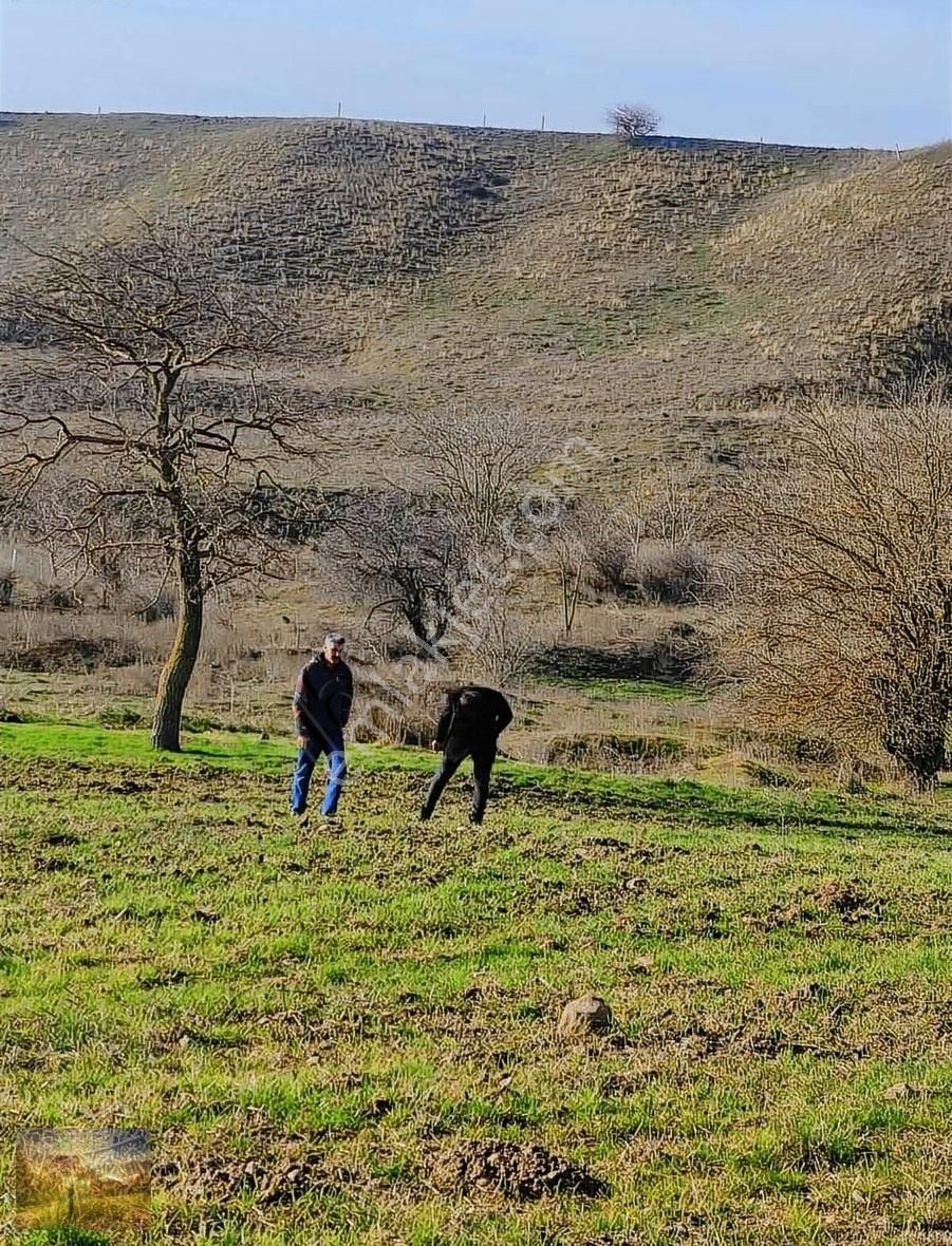 İstanbul Silivri Değirmenköy Sahibinden Satılık 300m2 Arsa - Görsel 4