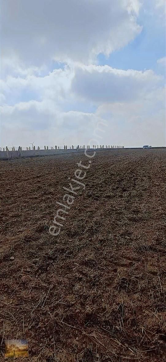 İstanbul Silivri Değirmenköy Sahibinden Satılık 300m2 Arsa - Görsel 15