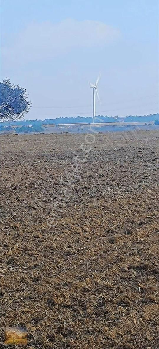 İstanbul Silivri Değirmenköy Sahibinden Satılık 300m2 Arsa - Görsel 2