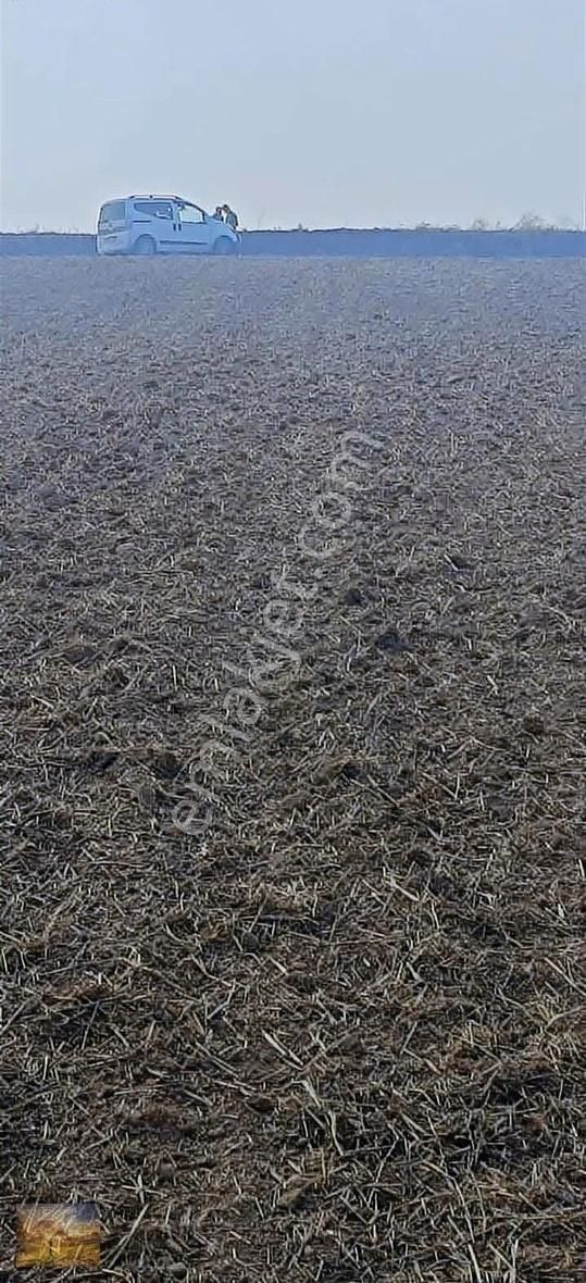 İstanbul Silivri Değirmenköy Sahibinden Satılık 300m2 Arsa - Görsel 13