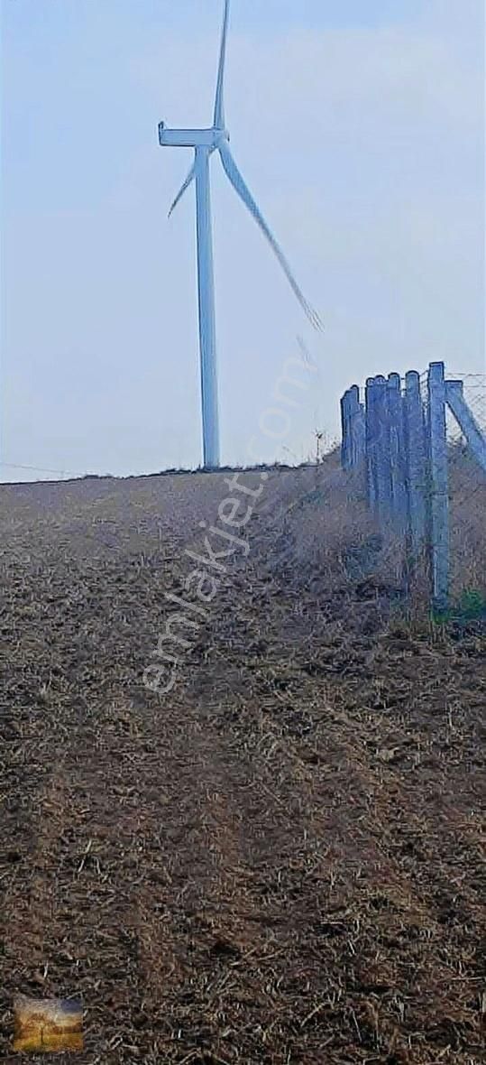 İstanbul Silivri Değirmenköy Sahibinden Satılık 300m2 Arsa - Görsel 9