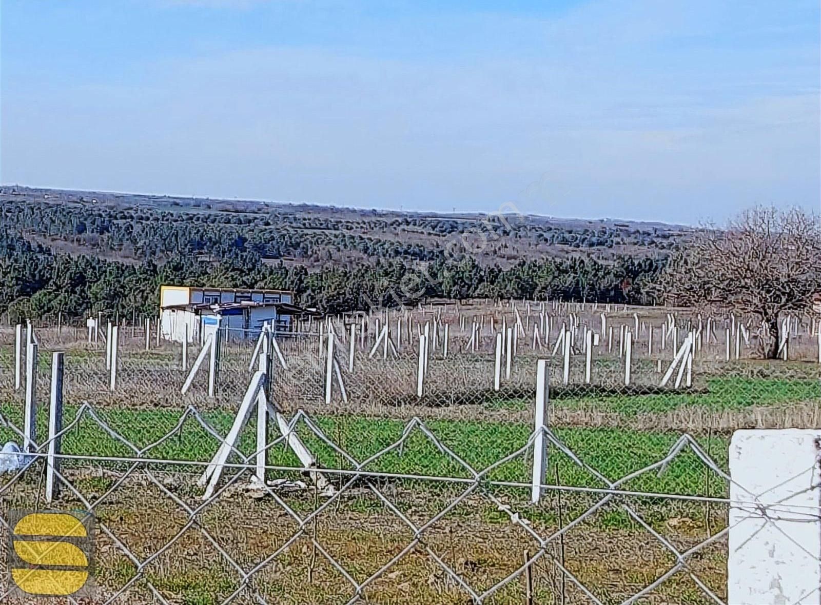 Acilllll İstanbul Silivri Balaban 255m2 Satılık Arsa - Görsel 3