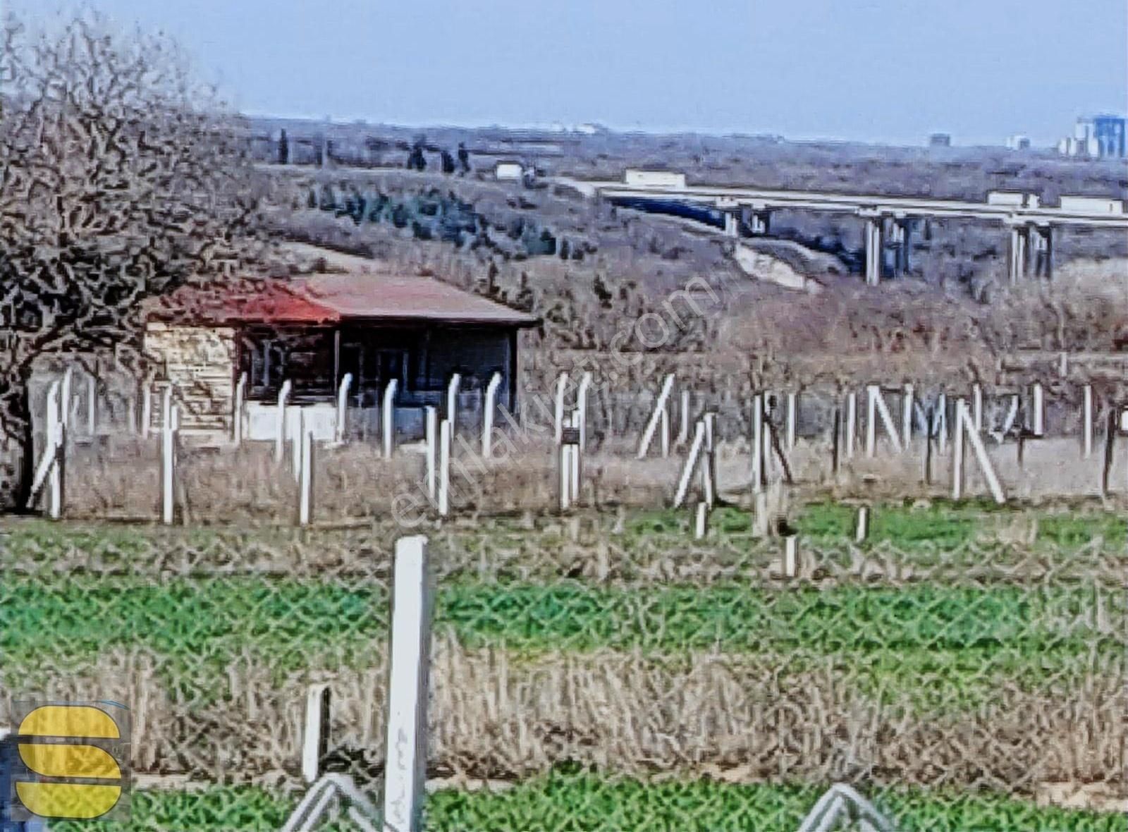 Acilllll İstanbul Silivri Balaban 255m2 Satılık Arsa - Görsel 2