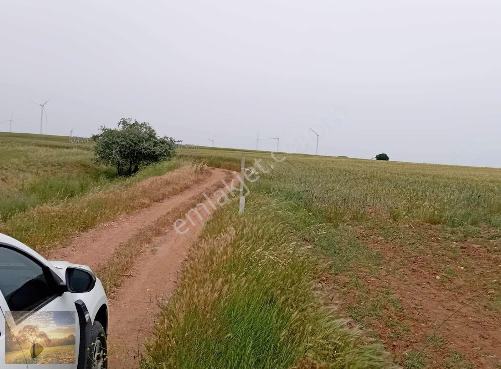 İstanbul Silivri Değirmende Köyün İçinde 125m2 - Görsel 5