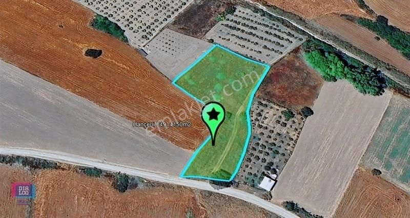 Dialog Skala'dan Kadastro Yoluna Cephe Satılık Tarla - Görsel 6