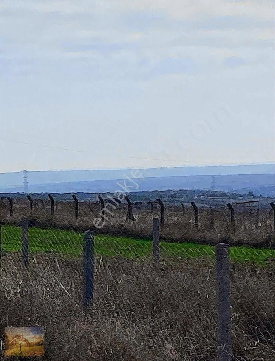 İstanbul Silivri Balaban Sahibinden Satılık 259m2 Arsa - Görsel 3