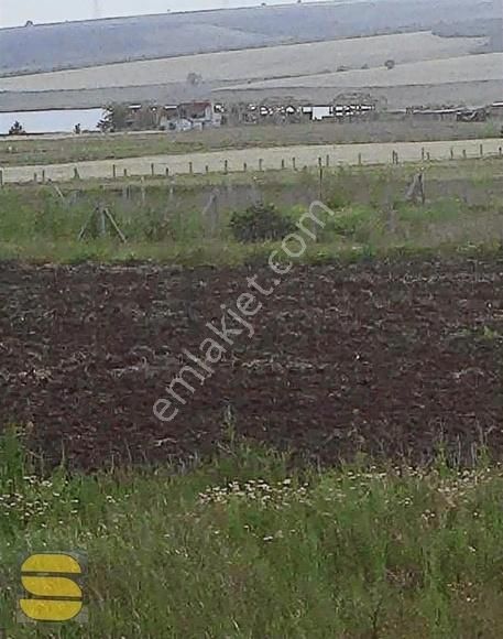 İstanbul Silivri Değirmenköy Sahibinden Satılık Arsa