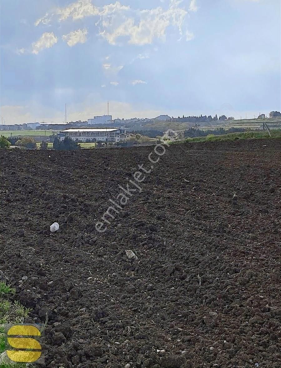 İstanbul Silivri Değirmenköy Sahibinden Satılık Arsa - Görsel 8