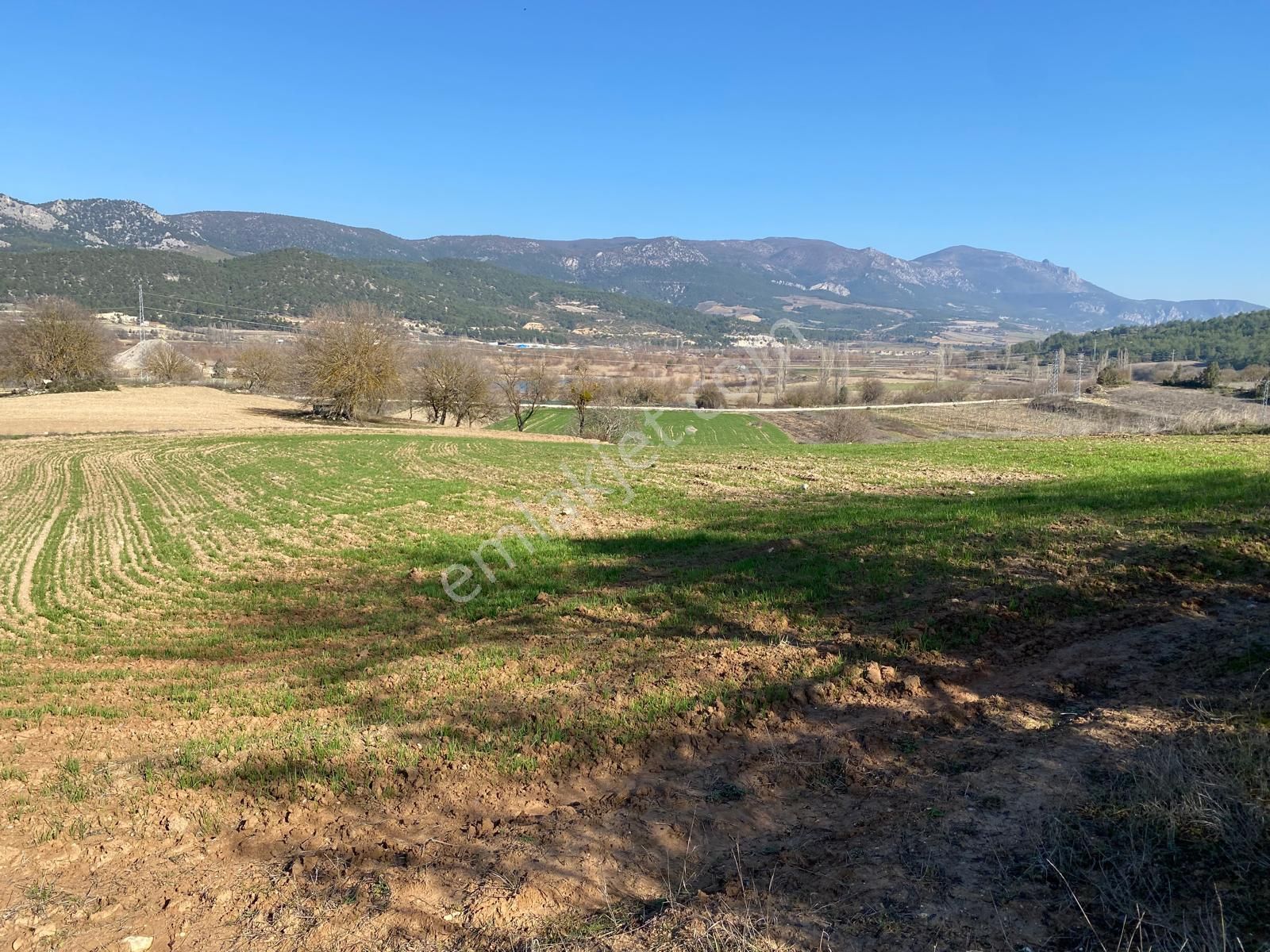 Selbükü Köyünde Kanal Yolu Olan Manzaralı 2.420 M2 Satılık Tarla