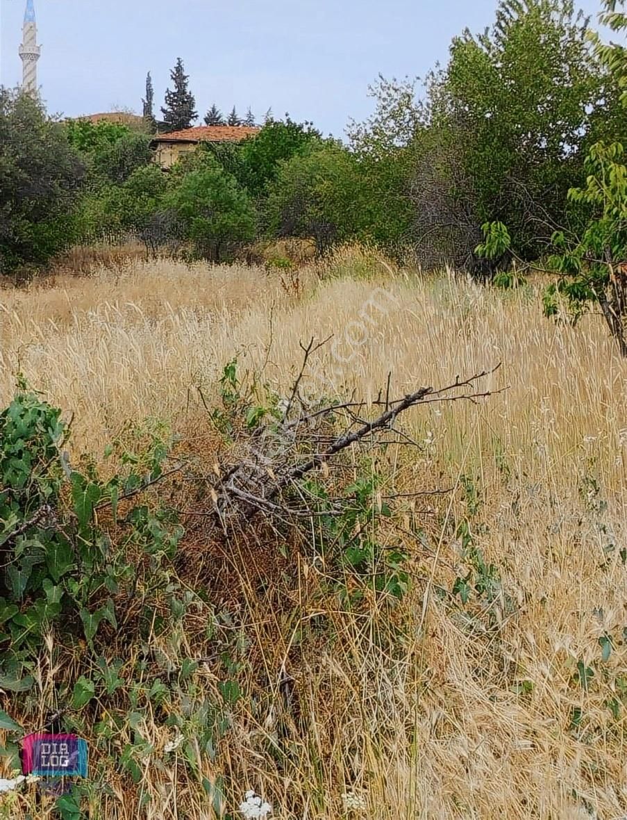 Dtr Skala Şaphane Üçbaş Mh'de Acil Satılık Köy İçi 888m2 Arsa