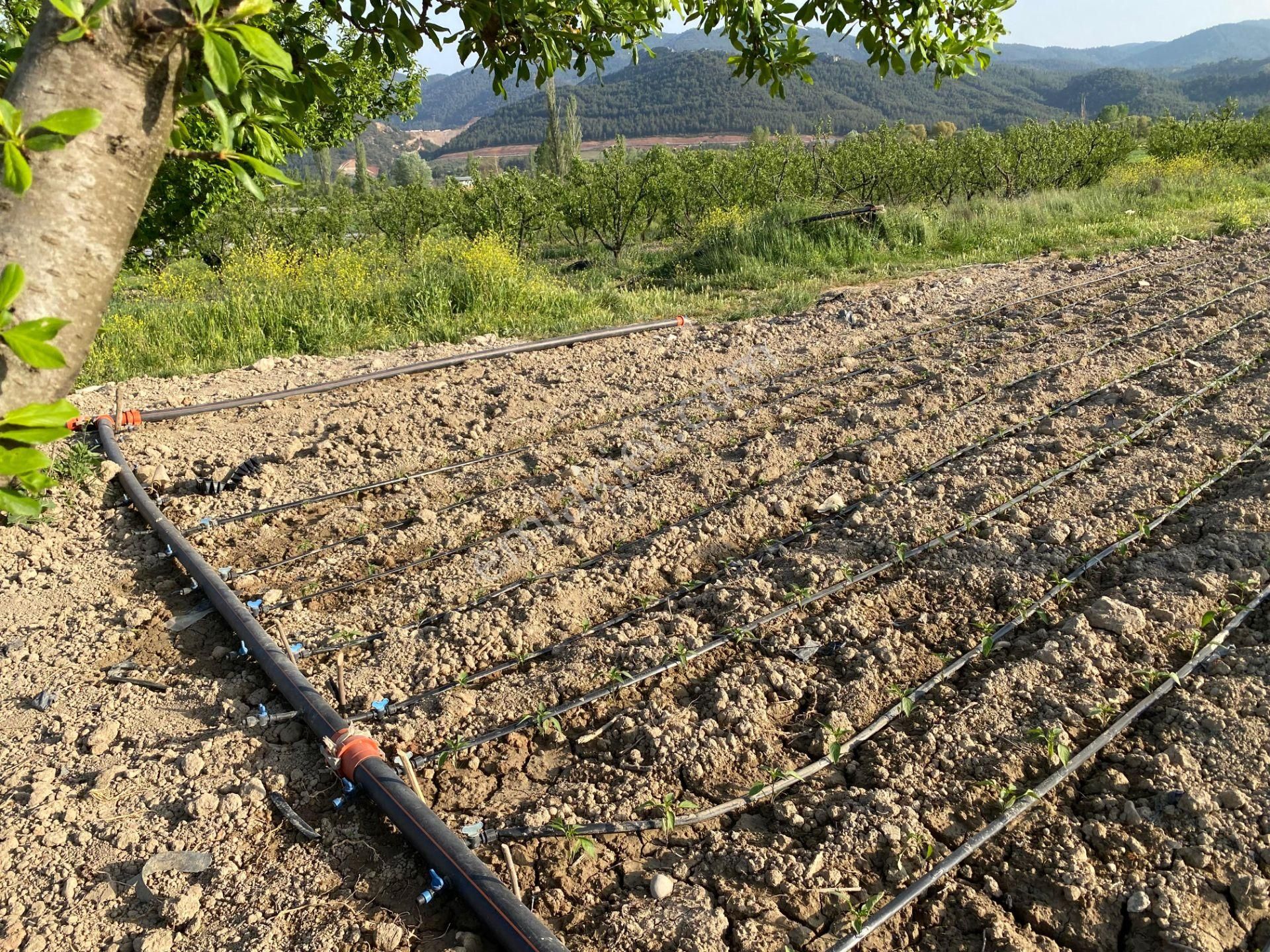 Osmaneli Asfaltına Sıfır 1.225 M2 Kaçırılmaz Arazi