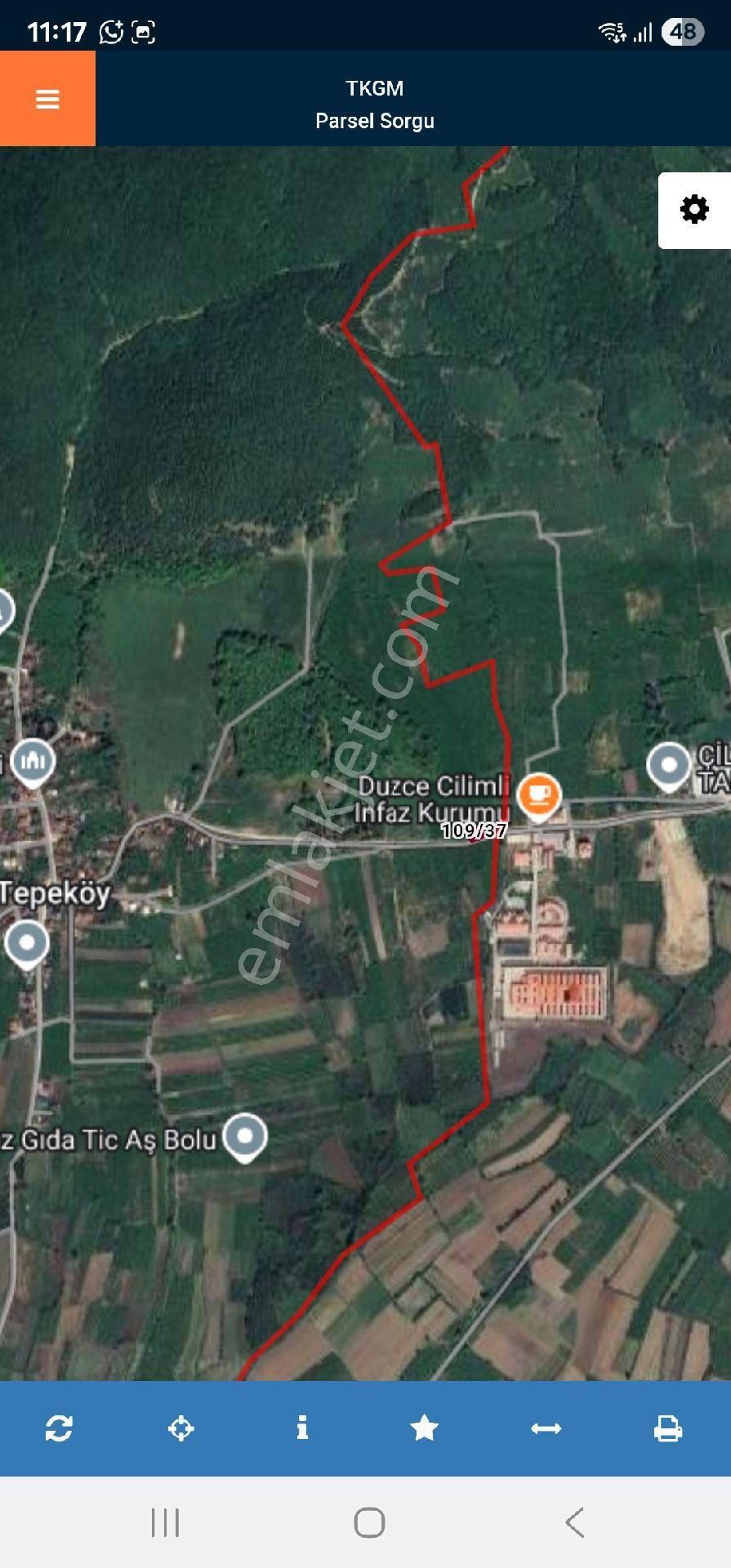 Düzce Çilimli Tepeköy - Görsel 7