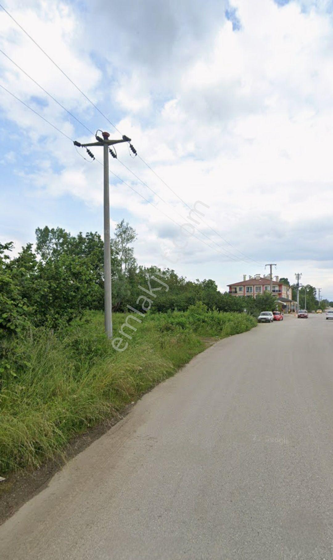 Düzce Çilimli Tepeköy - Görsel 4
