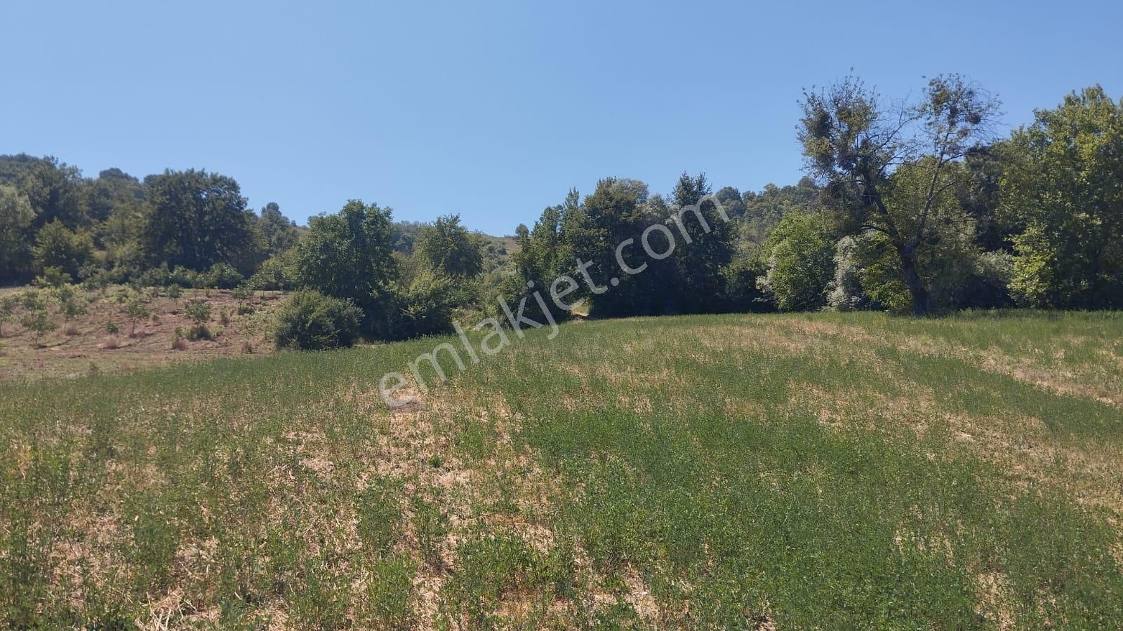 Maden Köyünde 5,750mt Yol Su Var