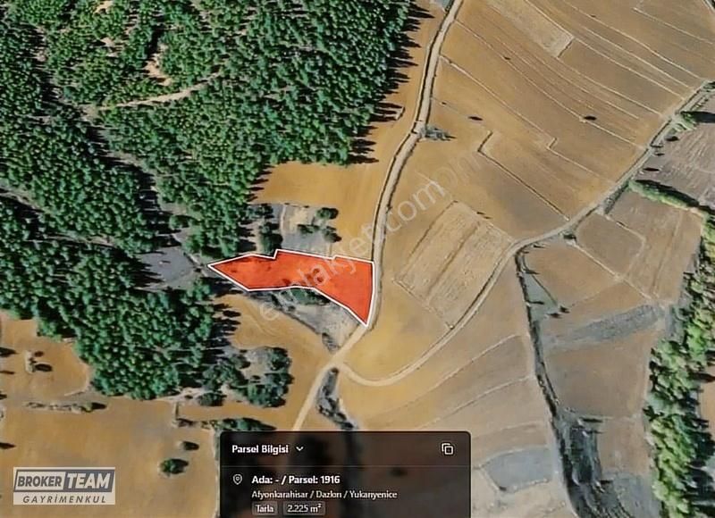Afyon Dazkırı Yukarıyenice'de 2225 M2 Tek Tapu Satılık Arazi