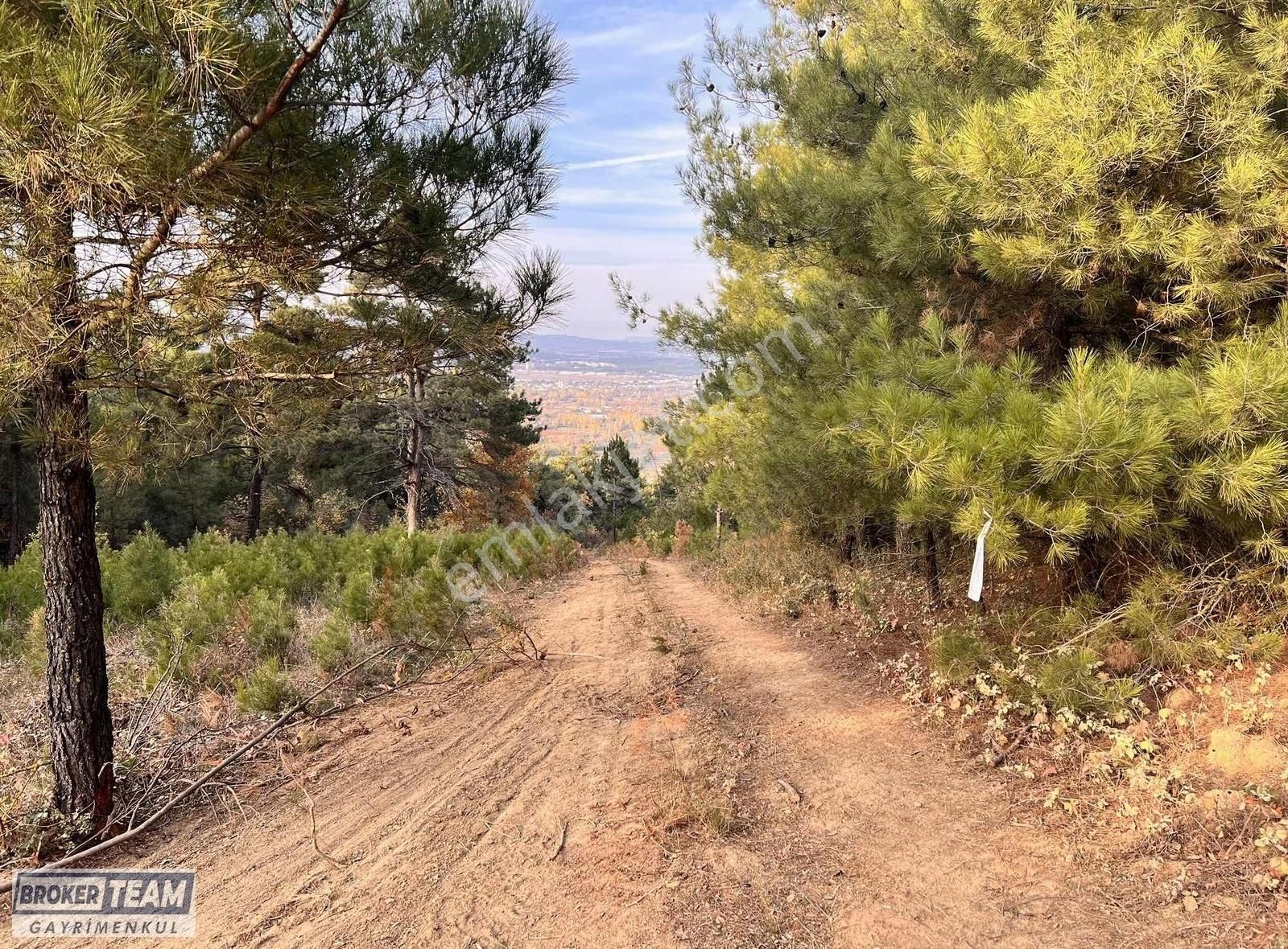 Tahtalı'da Full Manzaralı Hobi Bahçelik 650 M2